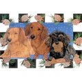Pipsqueak Productions Pipsqueak Productions C928 Dachshund Holiday Boxed Cards C928